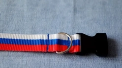 Kako narediti strelivo za mačko